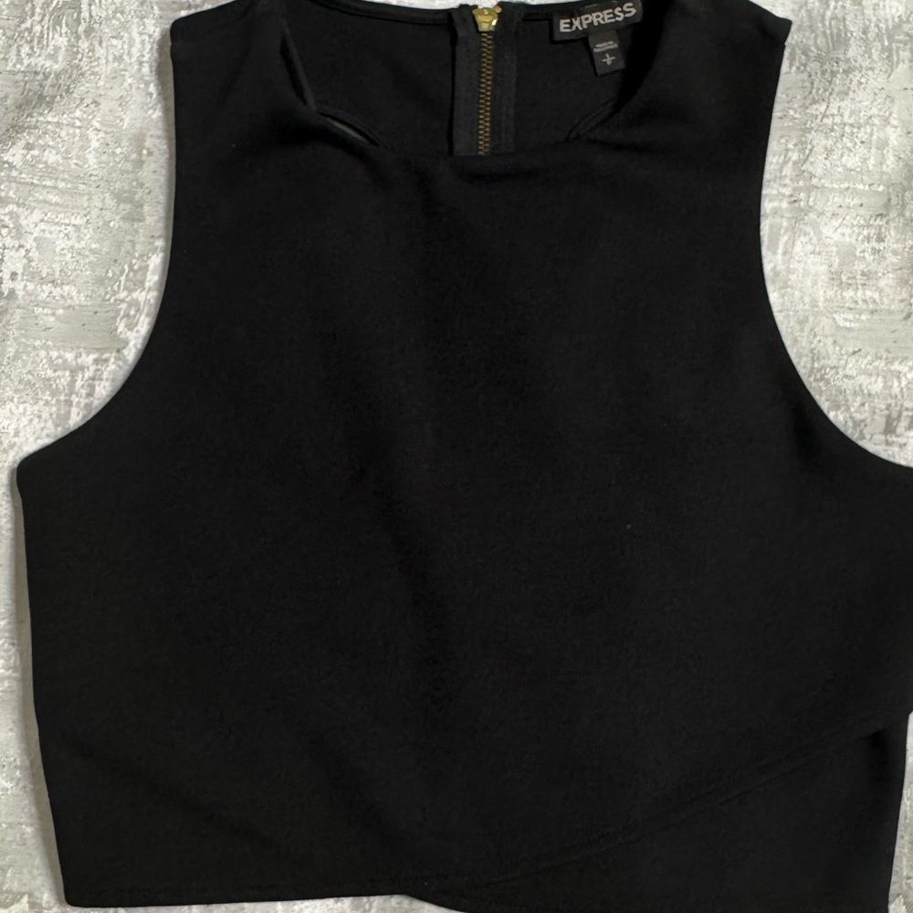 Express Black Sleeveless Fitted Crop Tank Top